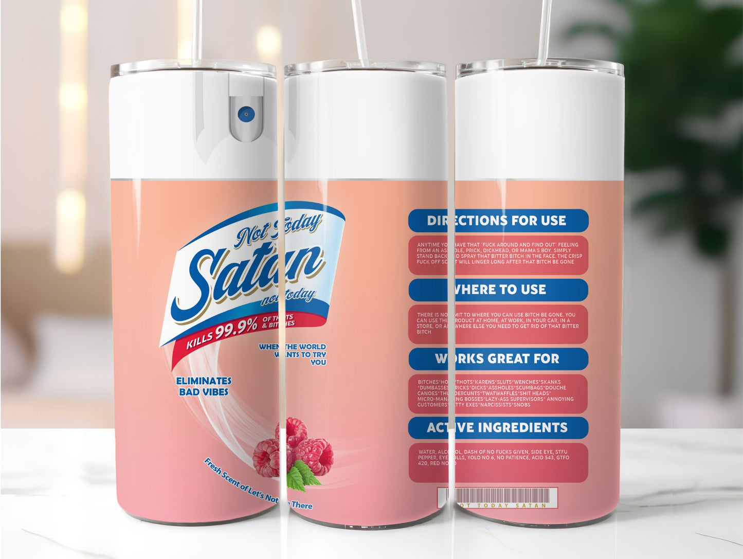 Not Today Satan (please read description) 20 oz